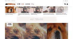 Desktop Screenshot of erbilia.com